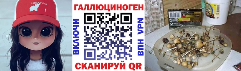Купить где  Кореновск  Галлюциногенные грибы MAGIC MUSHROOMS 
